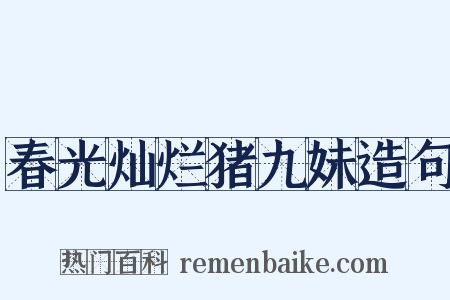 春光灿烂猪九妹造句是什么意思的图片